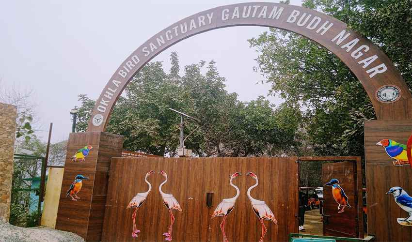 Okhla Bird Sanctuary