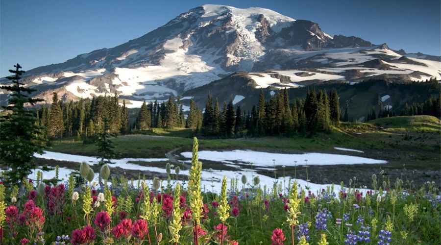 What are 5 Interesting Facts About Mount Rainier