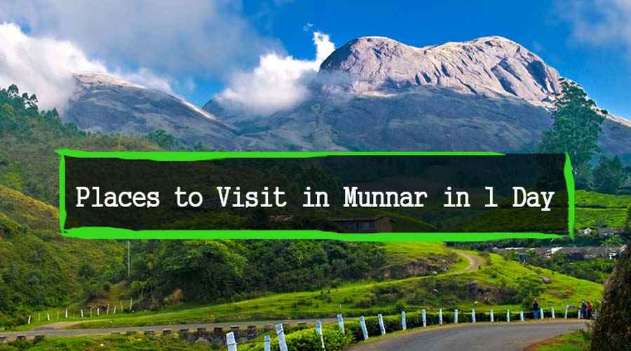 Places to Visit in Munnar with Family in One Day