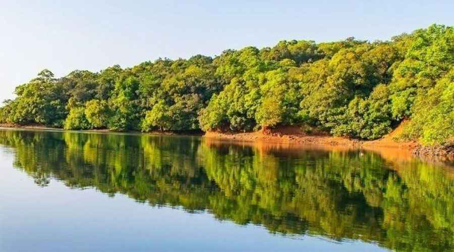 Charlotte Lake; Tourist Attraction in Matheran