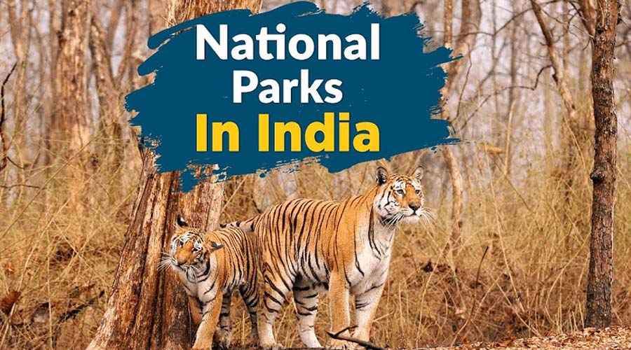 Top 10 Largest National Parks in India
