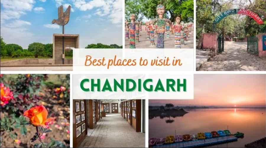 Best Places to Visit in Chandigarh