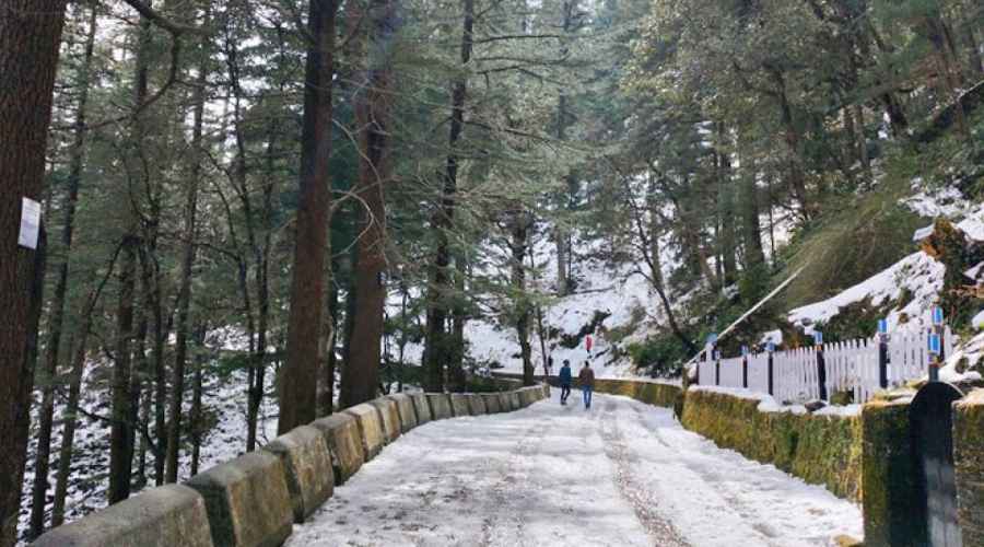 Lal Tibba Scenic Point