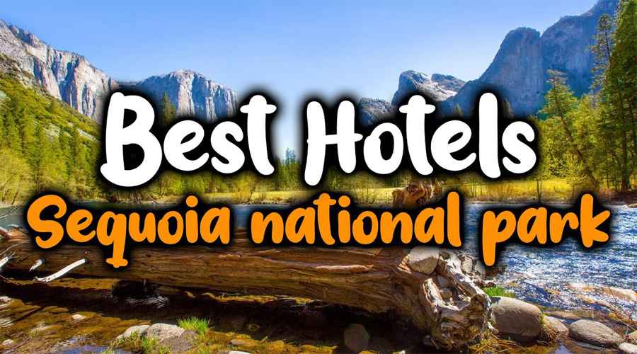 Top 10 Best Hotels Near Sequoia National Park