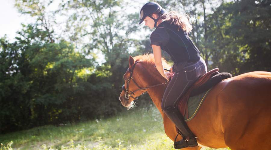 Top 10 Best Places for Horse Riding in India