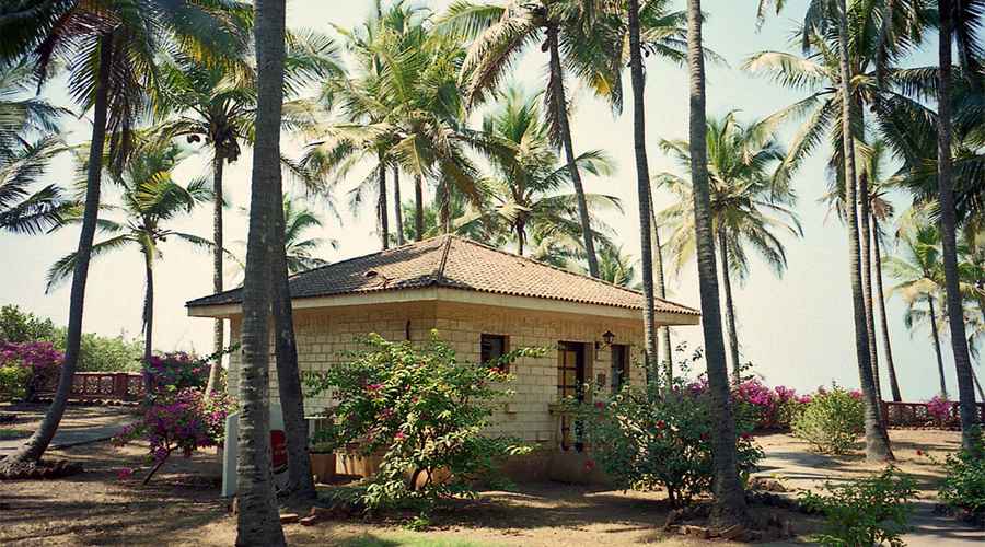 Vagator Beach Resort Goa