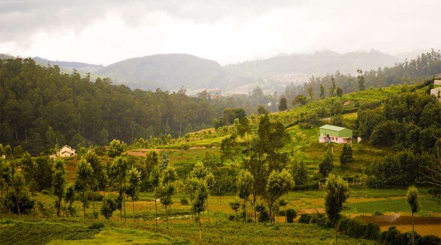 Nilgiri Hills