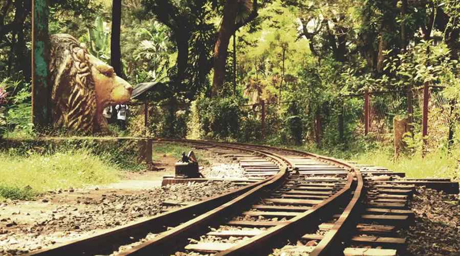 Sanjay Gandhi National Park Ticket Price and Visitor Guide 2025