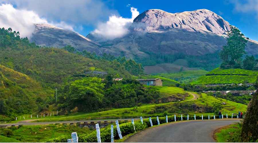 Why Valparai Is a Must-Visit Hill Station in Tamil Nadu