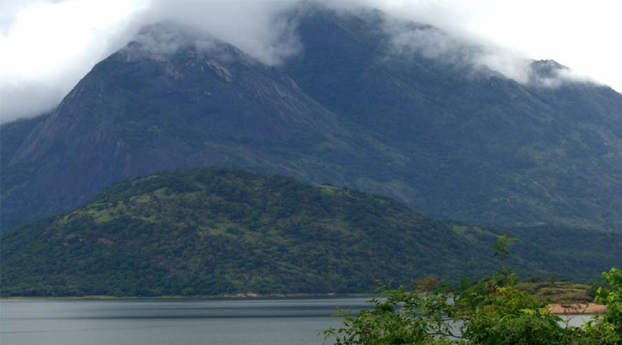 Where is Anaimalai Hills Located