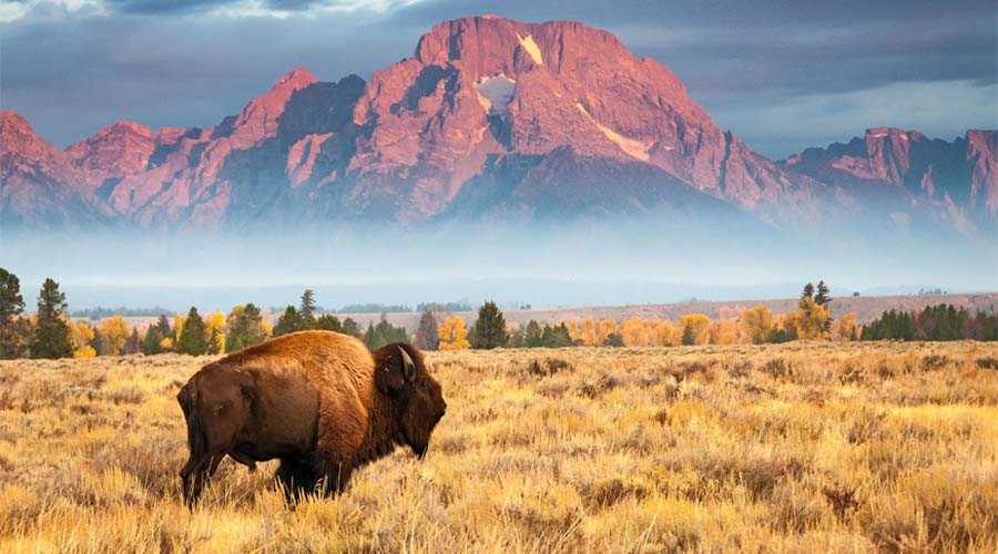 Top 10 Best National Parks to Visit in the US