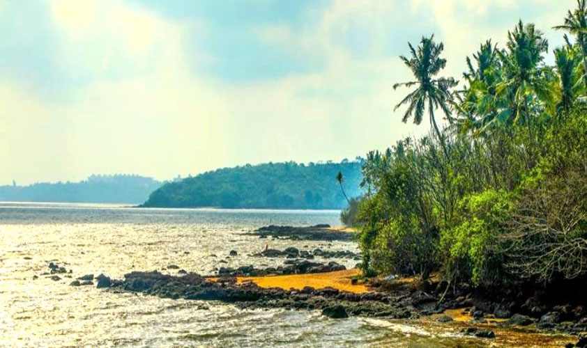 7 Stunning Bioluminescent Beaches in India