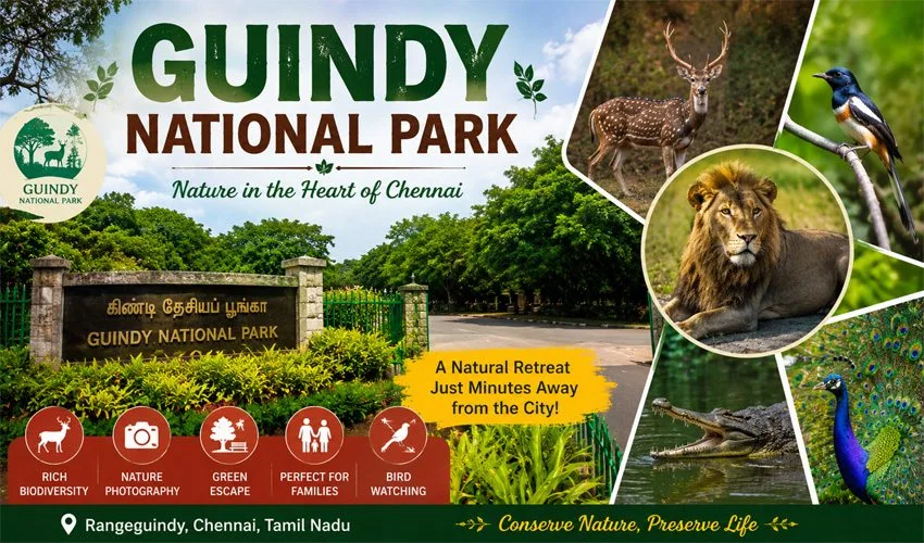 Guindy National Park