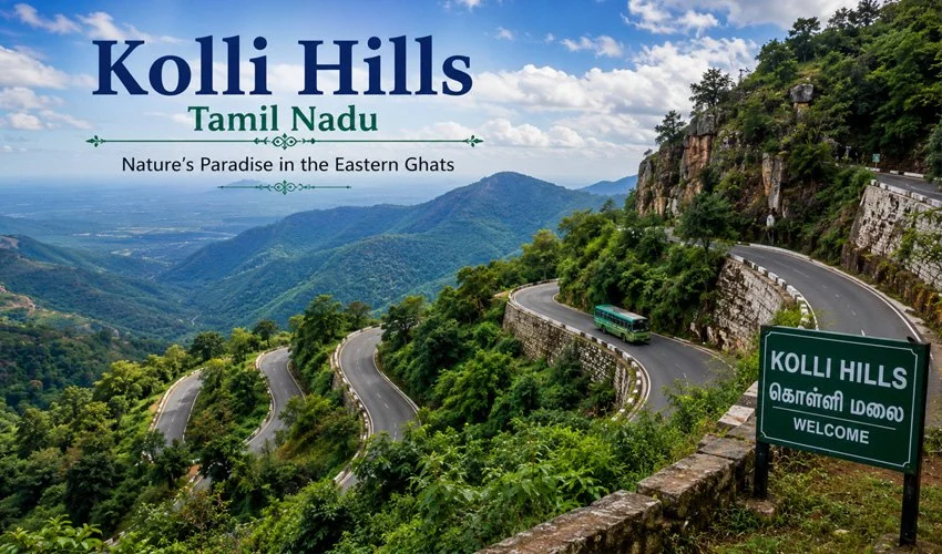 Kolli Hills Tamil Nadu