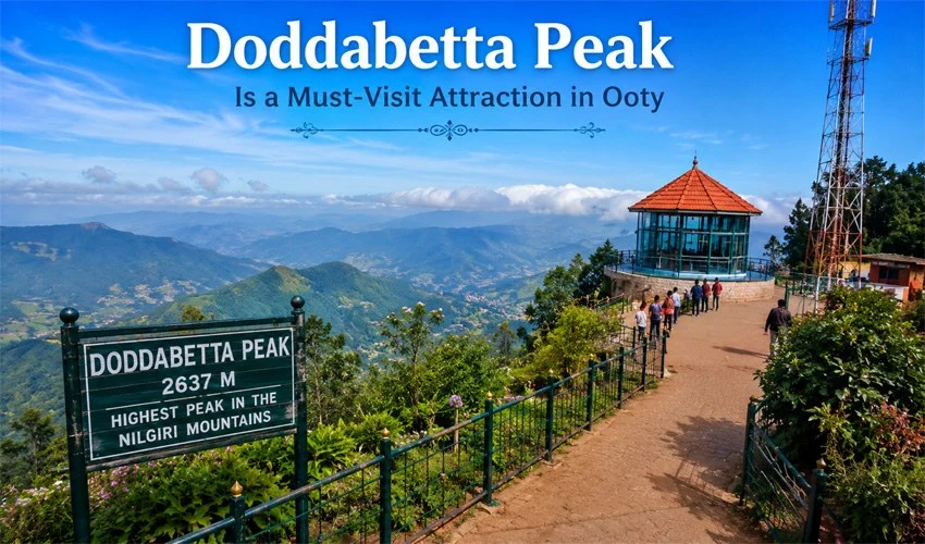Why Doddabetta Peak Is a Must-Visit Attraction in Ooty