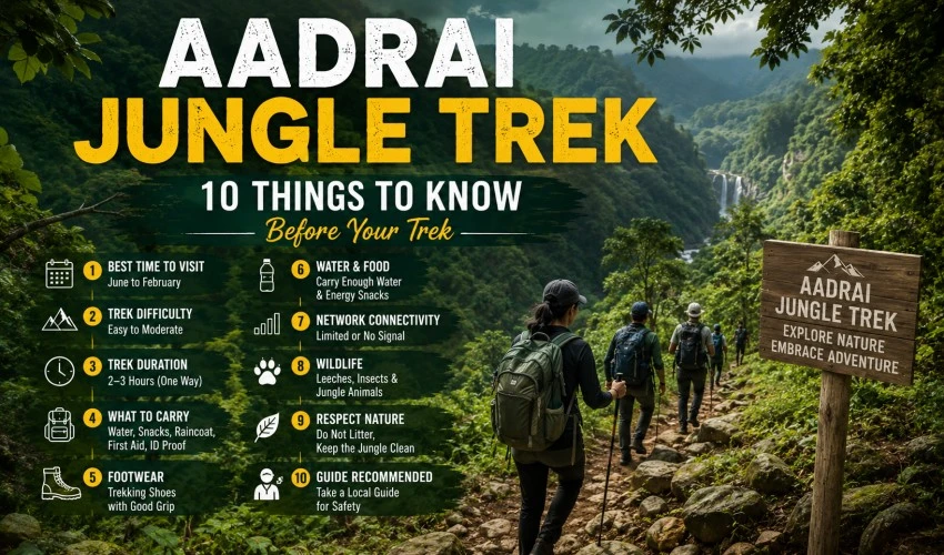 Aadrai Jungle Trek: 10 Things to Know Before Your Trek